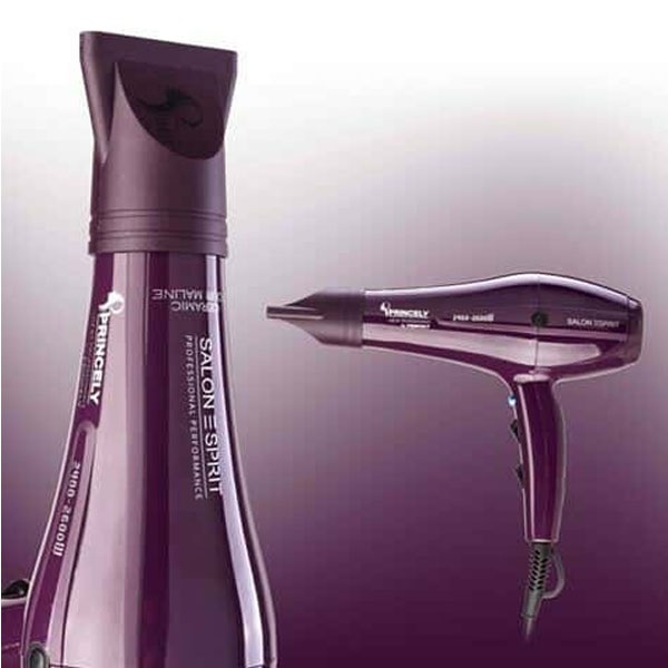 سشوار حرفه ای پرینسلی مدل PR250AT